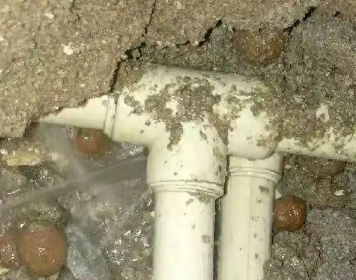 西盟测漏水多少钱