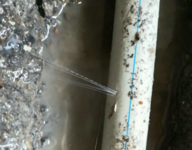 西盟测漏水哪家好