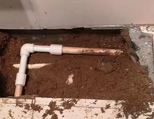 西盟测漏水哪家好