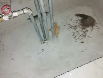 西盟卫生间测漏水价格明细