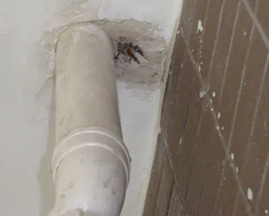 西盟漏水检测哪家好